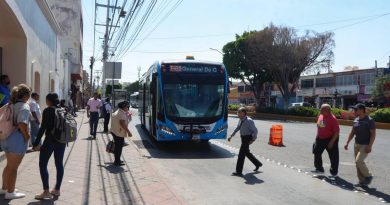 Reportan aumento en el uso de Qrobús