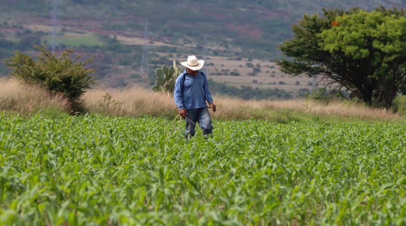 Beneficiarán a 15 mil productores de los sectores agroalimentario, rural y forestal