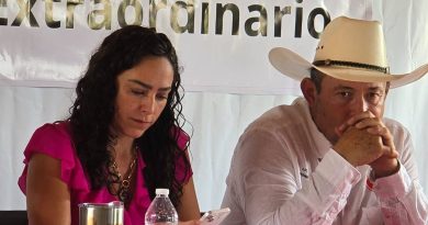 Crisis de identidad en el PRI: Abigail