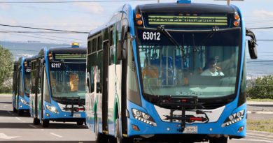 Entrarán en funcionamiento 14 nuevas unidades de transporte público