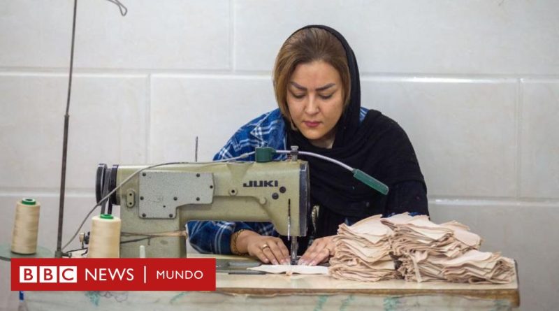 Irán: "Tienes que traer la autorización firmada de tu esposo", las duras leyes que enfrentan las mujeres iraníes para conseguir un trabajo - BBC News Mundo