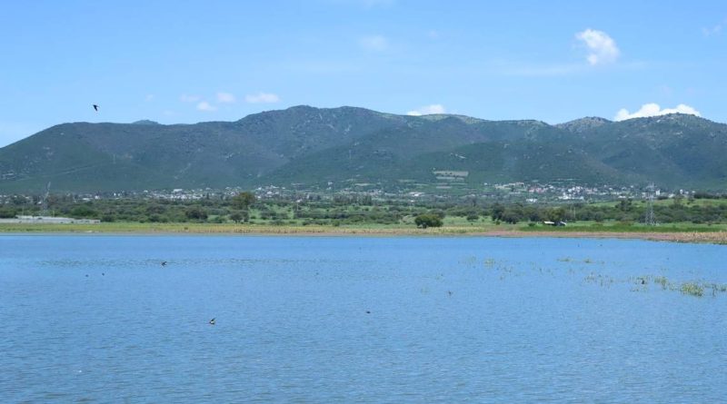 Levanta Querétaro declaratoria de emergencia por sequía