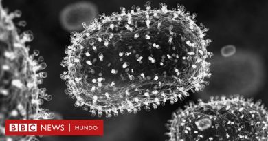 Mpox: cuáles son los síntomas y cómo se propaga la viruela por la que la OMS declaró emergencia internacional - BBC News Mundo