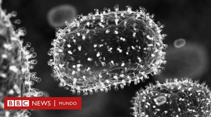 Mpox: cuáles son los síntomas y cómo se propaga la viruela por la que la OMS declaró emergencia internacional - BBC News Mundo