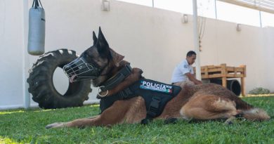 Realizarán jornada de unidades K9