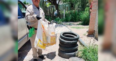 Se disparan a 188 casos positivos de dengue en Querétaro