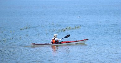 Sin recuperarse la pesca en “Corea”