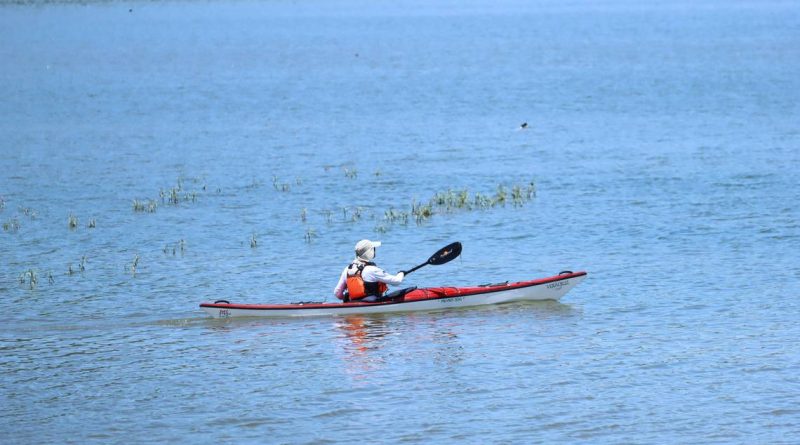 Sin recuperarse la pesca en “Corea”