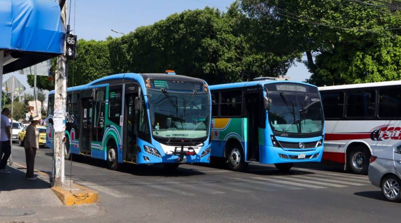 Van 200 accidentes de Qrobús en lo que va del año