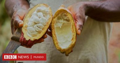 Chocolate: la revolucionaria técnica suiza para hacer este dulce más rico y sin añadir azúcar - BBC News Mundo