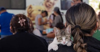 Realizarán más de mil esterilizaciones de perros y gatos en El Marqués