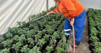 Vivero municipal utiliza agua tratada para ahorrar el vital líquido