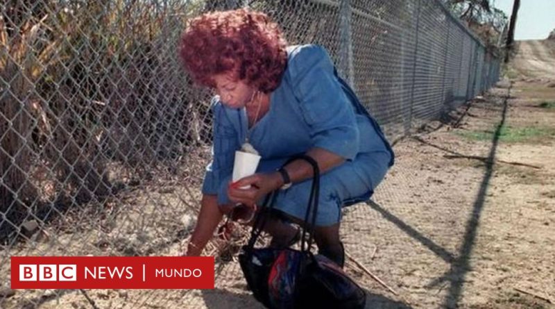 Celia Cruz: el día en que la Reina de la Salsa volvió a tocar suelo cubano tras 30 años en el exilio (y el montoncito de arena que se llevó para su entierro) - BBC News Mundo