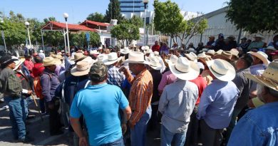 Productores exigen el retorno del programa PROCAMPO