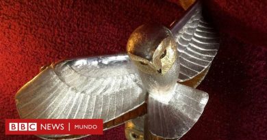 "Tras la pista de la lechuza de oro": concluye después de más de 30 años una de las búsquedas del tesoro más largas del mundo - BBC News Mundo