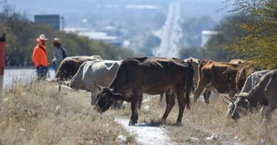 Regresa la sequía por falta de lluvias