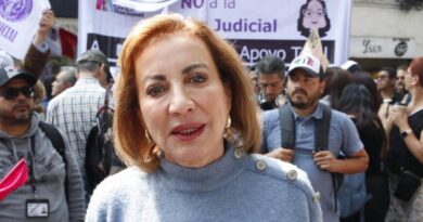 Resolución de la SCJN es un golpe a la democracia: Guadalupe Murguía