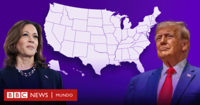 Trump vs Kamala Harris: el gráfico que muestra cómo fue el voto por género, edad, raza y nivel educativo que le dio el triunfo de Trump en las elecciones de EE.UU. - BBC News Mundo