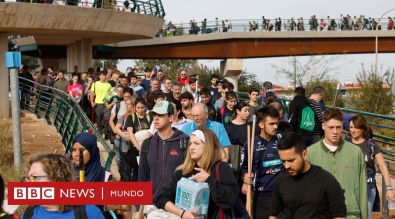 Valencia: La “pasarela de la solidaridad”, la oleada de voluntarios que están llegando para ayudar a las víctimas del desastre provocado por la DANA - BBC News Mundo