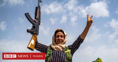 Qué significa la ofensiva rebelde en Siria para Medio Oriente (y por qué es demasiado pronto para dar a Bashar al-Assad por derrotado) - BBC News Mundo