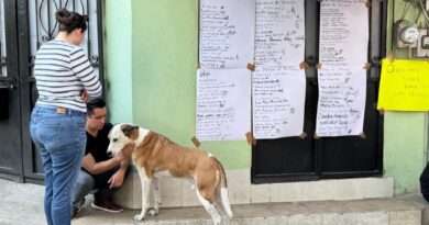 Segundo día de protestas en CDMX por derechos de los animales